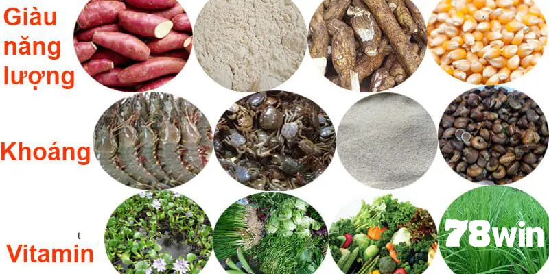 Lưu ý quan trọng khi thực hiện chăm sóc chiến kê